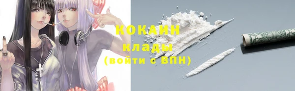 a pvp Горняк
