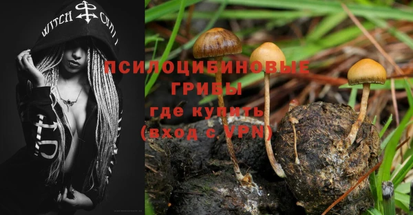 спиды Горнозаводск
