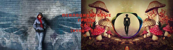 трава Гусь-Хрустальный