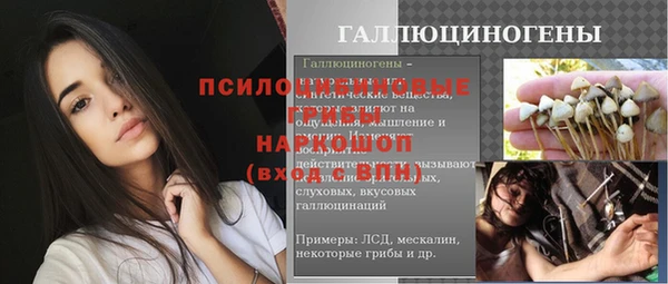 a pvp Горняк