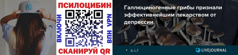 Купить  Октябрьск  Псилоцибиновые грибы мицелий 